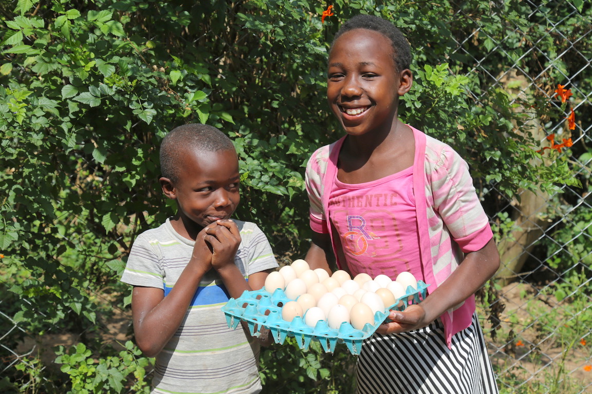 ‘Poultry Farming Has Increased My Household Kenya World